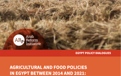 Agricultural and Food Policies in Egypt between 2014 and 2021: What Changed and What Didn’t