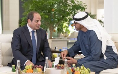 The Governing Framework for Gulf Acquisitions in Egypt